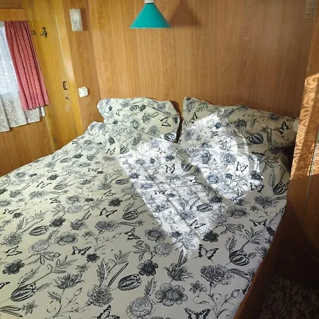 Kralovna - Camp Pod Kastany Morávka