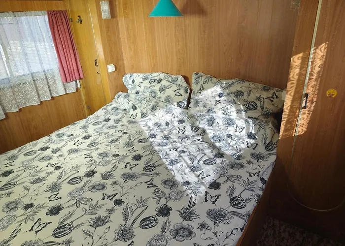 Kralovna - Camp Pod Kastany Moravka